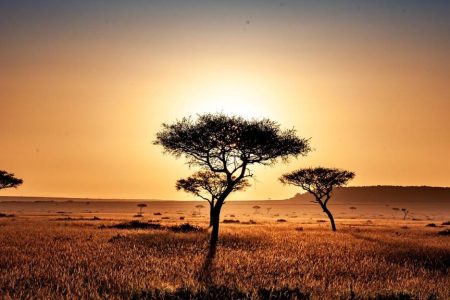 Voyagiste au Kenya : Comment choisir le meilleur pour un voyage sur mesure