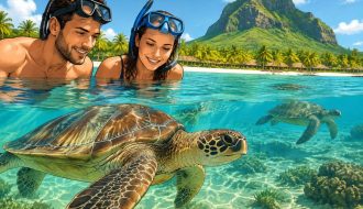 Île Maurice et tortues : où les observer lors d’un voyage de noces ?